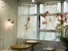 -共舞时光猫咖·狗咖(新街口店)