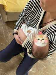 点击看大图 -龙文宝贝上门婴儿理发满月剃胎毛(总店)