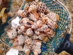 -明记海鲜大排档(巽寮湾店)