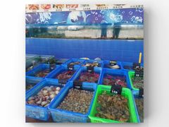 -七鲜渔港美食餐厅(巽寮湾海景店)