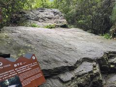 -石台牯牛降景区