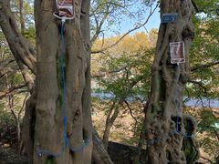 -幕燕滨江·燕子矶公园