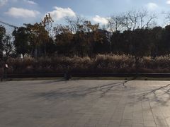 -上海山野camping·户外天幕烧烤·团建拓展营地