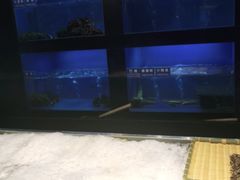 -金时代顺风大酒店(临港百联店)