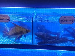 -湘力力小院·鱼汤泡饭(枫林路店)