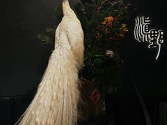 -滇野云南野生菌餐厅(陕西南路店)