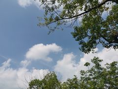 -苏州青少年科技馆