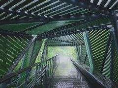 -西湖风景区-江洋畈生态公园