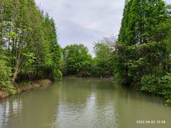 -桤木河湿地公园