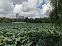 -长春市南湖公园