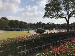 -上海月湖雕塑公园