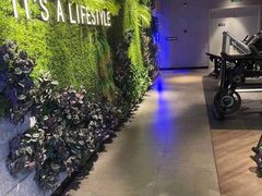 -威尔仕健身·游泳(KING88店)