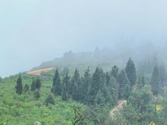 -长虫山生态公园风景林