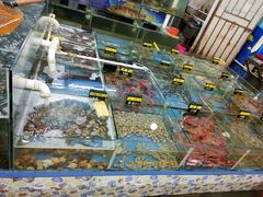 -明记海鲜大排档(巽寮湾店)