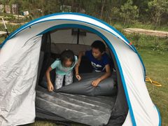 -黄海国家森林公园