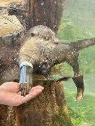 -Zoolung Zoolung动物主题公园(海信广场店)