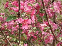 -元大都城垣遗址公园