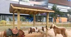 -萌宠亲子动物乐园(槐房万达店)