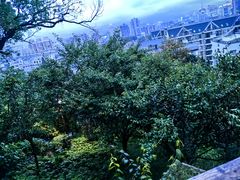 -乌山风景区