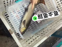 -土砂锅生态山庄·非遗砂锅雅鱼