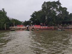 -东寨港红树林旅游区