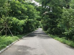 -昆嵛山石门里景区