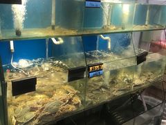 -胖大嫂渔家排档·全海景餐厅(渔村店)