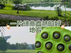 -桂溪生态公园