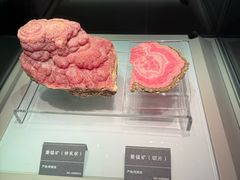 -安徽省地质博物馆