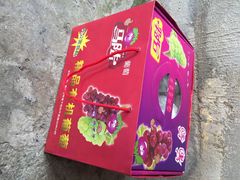 马陆小张葡萄园-马陆小张葡萄园农家乐