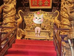 -杭州宋城