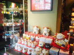 -猫咪博物馆(顶澳仔猫街店)