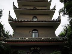 -生宇山珍野生菌汤锅•始于1999(双流古塔店)