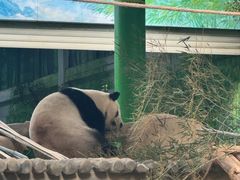 -灵玲国际马戏城