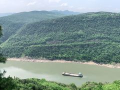 -铁山坪森林公园