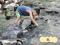 -白水寺森林公园