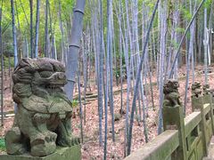 -敬亭山风景名胜区