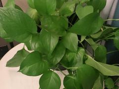 -宴昆山·私房菜(春晖店)