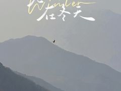 -北京鹫峰国家森林公园