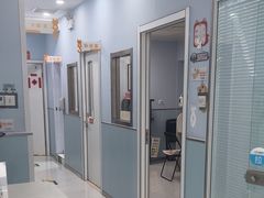 -纳吉亚猫专科动物诊疗中心(蒋宅口分院)