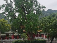 -终南山古楼观历史文化景区