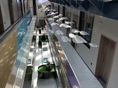 -黄山排云型旅酒店餐厅