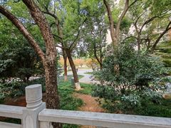 -长沙市青少年宫