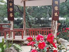 -广州兰圃