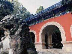 -灵谷景区
