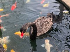 景观位-湖鲜楼