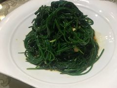 -蒙古大营(朝阳公园店)