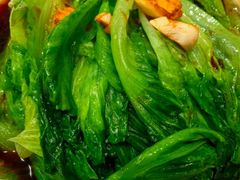 -金成潮菜博物馆(海珠湿地店)