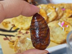 -有滋有味烧烤涮(果园星城C区店)