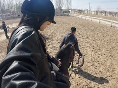 -北京群众马术培训基地